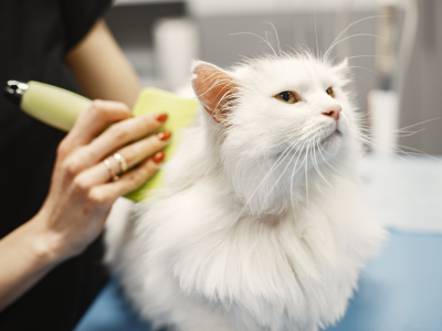nail trim