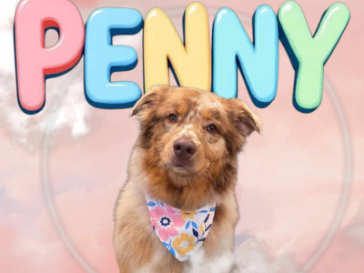 penny