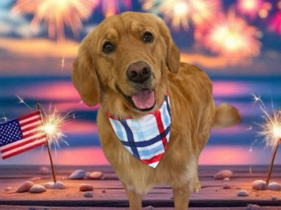 dog in bandana